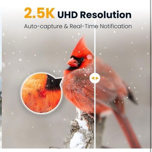 Smart Bird Feeder Camera Solar Powered - Picture 3 of 3